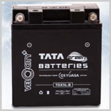 Tata AutoComp GY Batteries