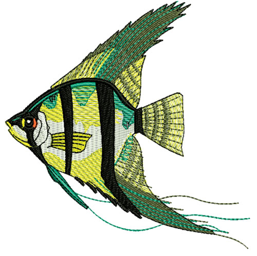 Embroidery Digitizing Service and Vector Artwork Services